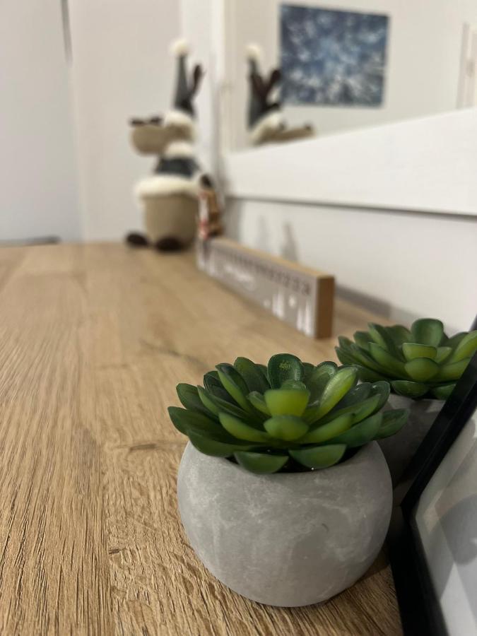 维斯拉Przy Stoku I Potoku公寓 外观 照片
